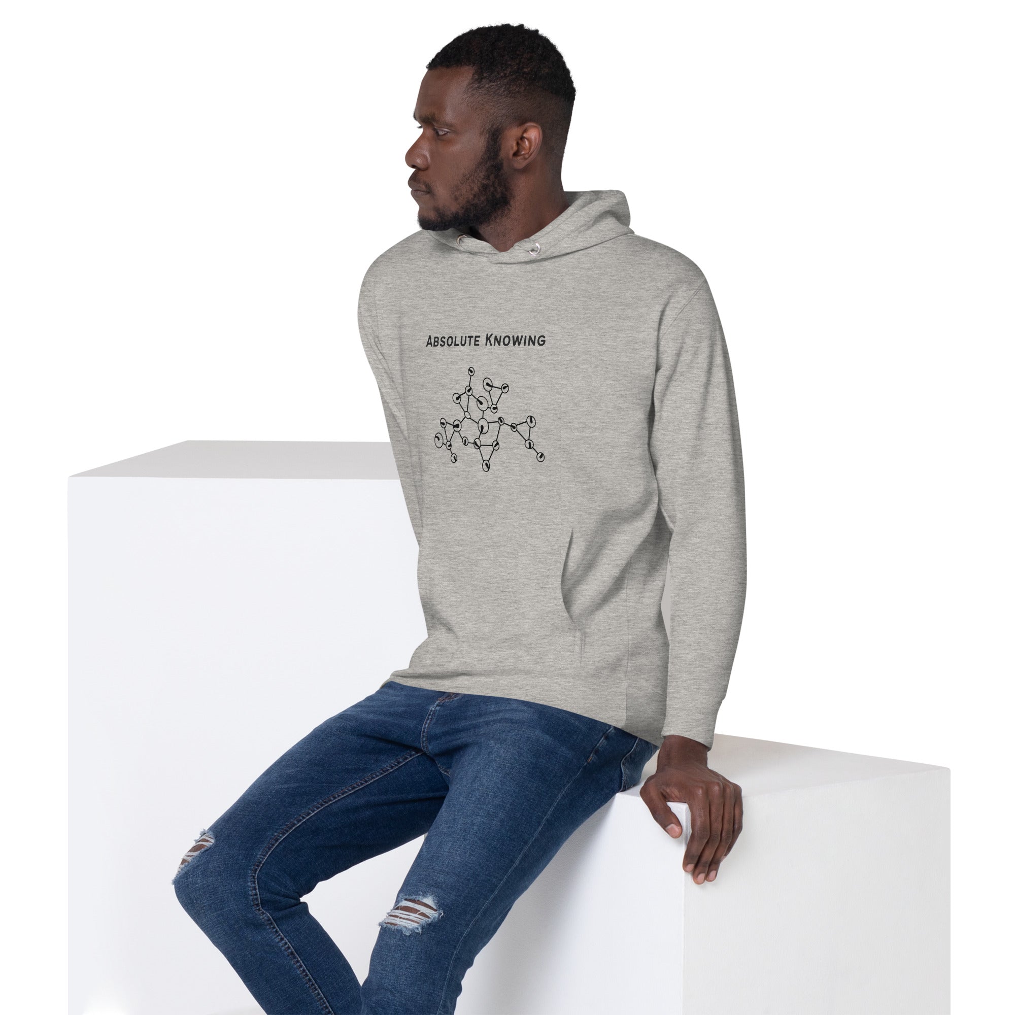 Grey unisex hoodie featuring the phrase “Absolute Knowing” above an abstract molecular-style line illustration.